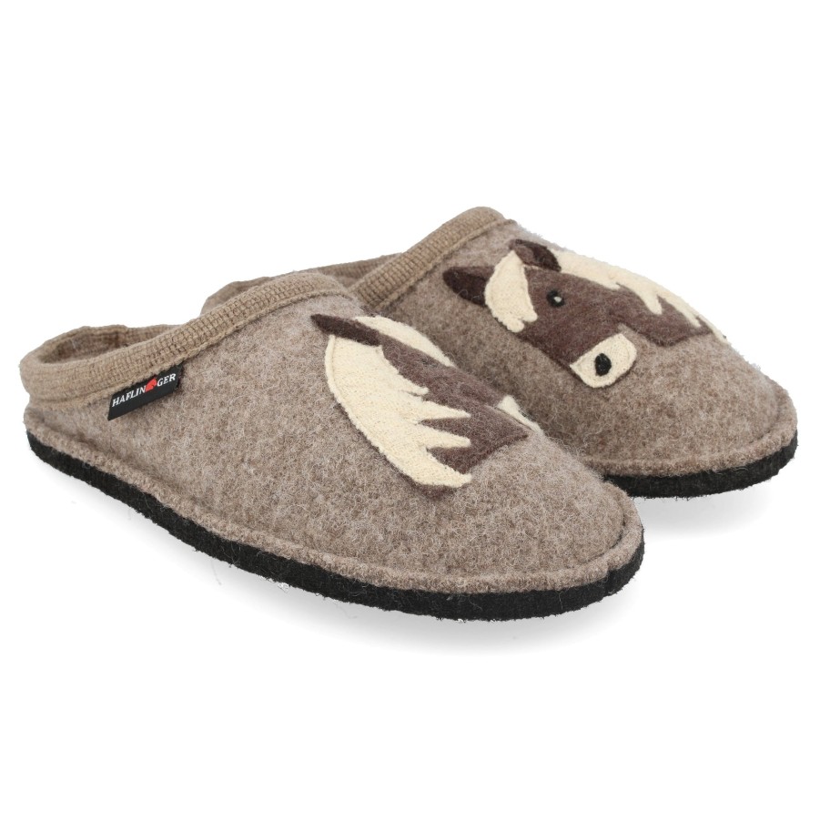 Pour Des Hommes Haflinger CANADA | Pony